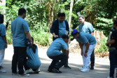 Companies Invest in Team Building in Jakarta to Improve Employee Engagement and Business Performance